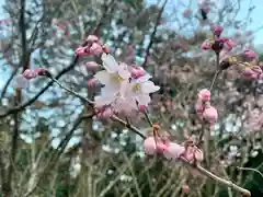 普門寺(切り絵御朱印発祥の寺)の自然