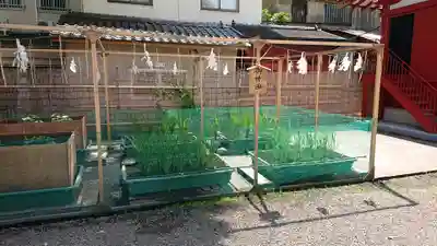 浅草神社のその他建物