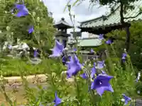 湯島天満宮(東京都)