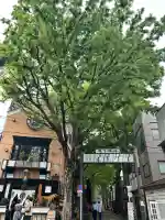 鬼子母神堂 (法明寺)(東京都)