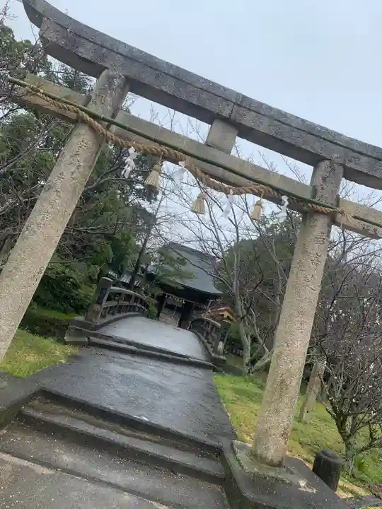杜屋神社の鳥居