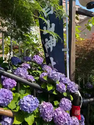 白山神社(東京都)