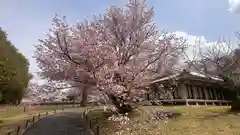 醍醐寺(京都府)