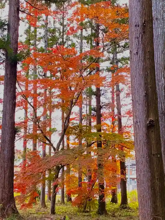 賀茂神社(宮城県)
