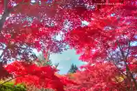 新倉富士浅間神社(山梨県)