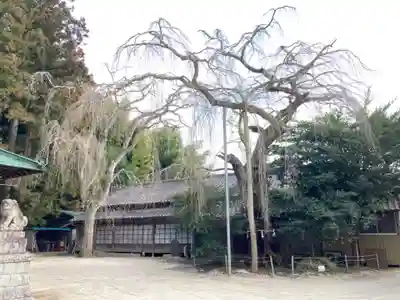 八坂神社(茨城県)