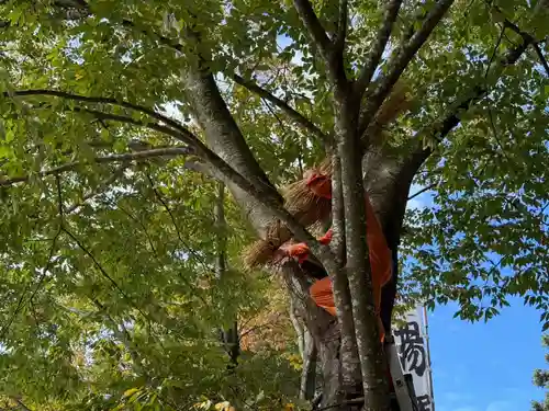 美奈宜神社(福岡県)