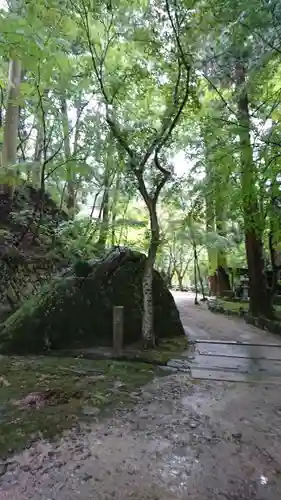 瓦屋寺の庭園