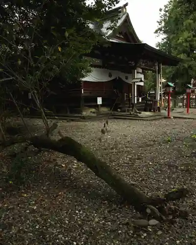 下野國一社八幡宮(栃木県)
