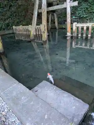 鹿島神宮(茨城県)