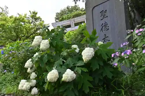 竹原神社(茨城県)