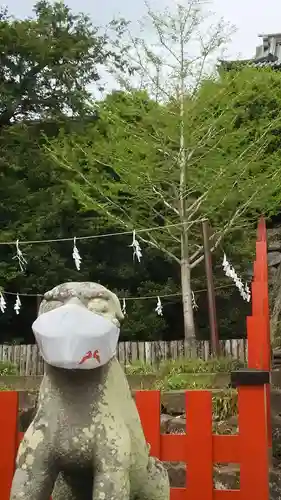 鶴岡八幡宮の狛犬