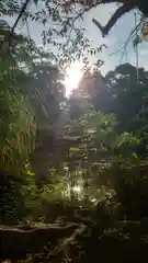 津島神社の自然