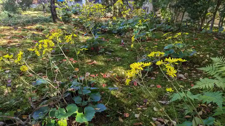 清凉寺(京都府)