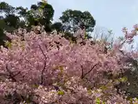 白山神社の自然
