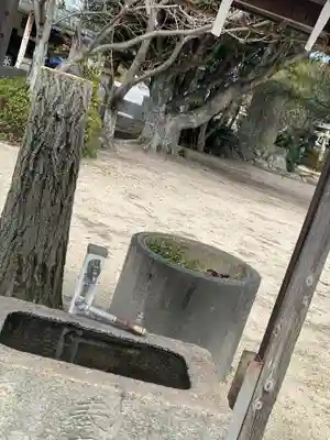 江泊神社の手水舎