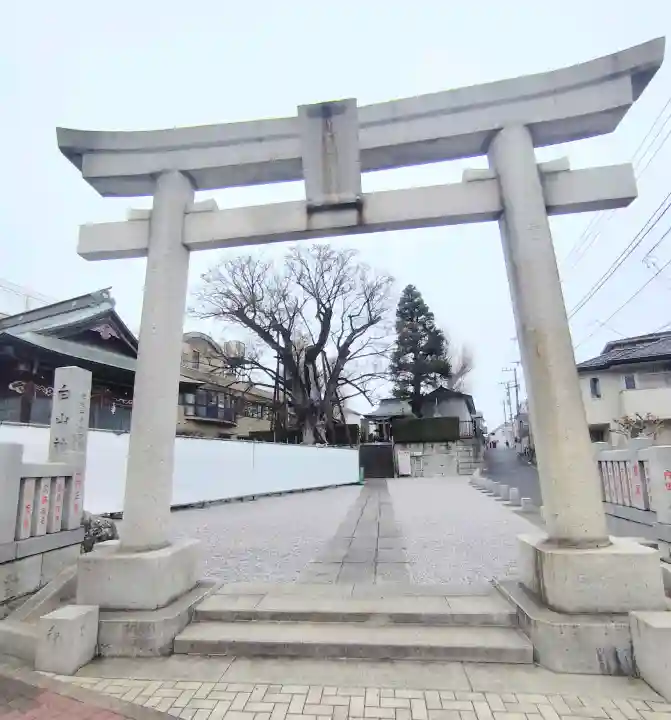 白山神社の{uncategorized: "未分類", other: "その他", undefined: "問題あり", building: "その他建物", grave: "お墓", sacred_gate: "鳥居", guardian: "狛犬", statue: "像", buddha: "仏像", history: "歴史", nature: "自然", garden: "庭園", animal: "動物", pagoda: "塔", temizu: "手水舎", mountain_gate: "山門・神門", sanctuary: "本殿・本堂", subordinate: "末社・摂社", art: "芸術", scenery: "景色", jizo: "地蔵", ema: "絵馬", goshuin: "御朱印", omikuji: "おみくじ", items: "授与品その他", amulet: "お守り", goshuincho: "御朱印帳", eats: "食事", festival: "お祭り", votive_dance: "神楽", shichigosan: "七五三参", wedding: "結婚式", experience: "体験その他", initially: "初詣", around: "周辺", anti_infection: "感染症対策"}