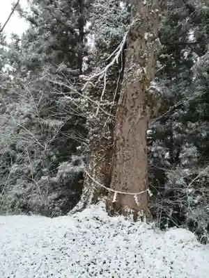 八雲神社（筆甫）(宮城県)