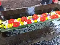 石浦神社(石川県)