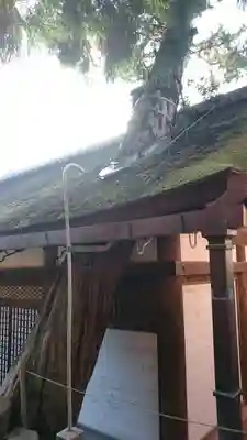 春日大社のその他建物