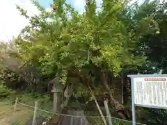 堀出神社(新潟県)