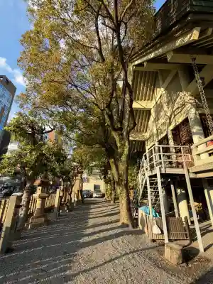 白神社の{uncategorized: "未分類", other: "その他", undefined: "問題あり", building: "その他建物", grave: "お墓", sacred_gate: "鳥居", guardian: "狛犬", statue: "像", buddha: "仏像", history: "歴史", nature: "自然", garden: "庭園", animal: "動物", pagoda: "塔", temizu: "手水舎", mountain_gate: "山門・神門", sanctuary: "本殿・本堂", subordinate: "末社・摂社", art: "芸術", scenery: "景色", jizo: "地蔵", ema: "絵馬", goshuin: "御朱印", omikuji: "おみくじ", items: "授与品その他", amulet: "お守り", goshuincho: "御朱印帳", eats: "食事", festival: "お祭り", votive_dance: "神楽", shichigosan: "七五三参", wedding: "結婚式", experience: "体験その他", initially: "初詣", around: "周辺", anti_infection: "感染症対策"}