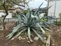 薬師寺(千葉県)