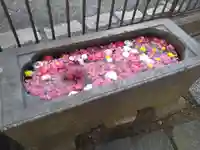 安行吉岡氷川神社の手水舎