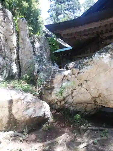 鹿島大神宮の自然