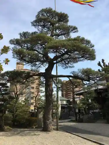 松秀寺の自然