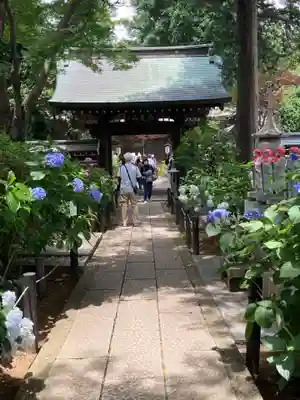 妙楽寺(神奈川県)