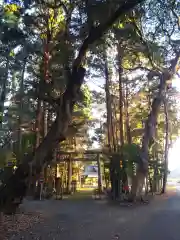 大生神社の建物その他