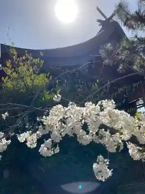 尾上神社の本殿・本堂