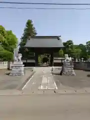 妙法寺(金色不動尊)の山門