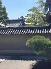 東寺（教王護国寺）(京都府)