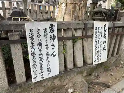 満足稲荷神社の{uncategorized: "未分類", other: "その他", undefined: "問題あり", building: "その他建物", grave: "お墓", sacred_gate: "鳥居", guardian: "狛犬", statue: "像", buddha: "仏像", history: "歴史", nature: "自然", garden: "庭園", animal: "動物", pagoda: "塔", temizu: "手水舎", mountain_gate: "山門・神門", sanctuary: "本殿・本堂", subordinate: "末社・摂社", art: "芸術", scenery: "景色", jizo: "地蔵", ema: "絵馬", goshuin: "御朱印", omikuji: "おみくじ", items: "授与品その他", amulet: "お守り", goshuincho: "御朱印帳", eats: "食事", festival: "お祭り", votive_dance: "神楽", shichigosan: "七五三参", wedding: "結婚式", experience: "体験その他", initially: "初詣", around: "周辺", anti_infection: "感染症対策"}