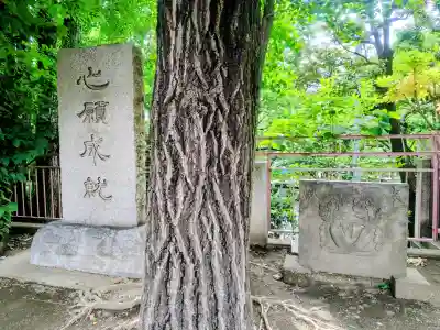 待乳山聖天（本龍院）の{uncategorized: "未分類", other: "その他", undefined: "問題あり", building: "その他建物", grave: "お墓", sacred_gate: "鳥居", guardian: "狛犬", statue: "像", buddha: "仏像", history: "歴史", nature: "自然", garden: "庭園", animal: "動物", pagoda: "塔", temizu: "手水舎", mountain_gate: "山門・神門", sanctuary: "本殿・本堂", subordinate: "末社・摂社", art: "芸術", scenery: "景色", jizo: "地蔵", ema: "絵馬", goshuin: "御朱印", omikuji: "おみくじ", items: "授与品その他", amulet: "お守り", goshuincho: "御朱印帳", eats: "食事", festival: "お祭り", votive_dance: "神楽", shichigosan: "七五三参", wedding: "結婚式", experience: "体験その他", initially: "初詣", around: "周辺", anti_infection: "感染症対策"}
