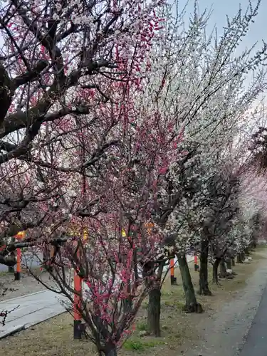 朝日森天満宮(栃木県)