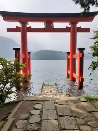 箱根神社の鳥居