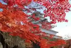 鶴ケ城稲荷神社の自然