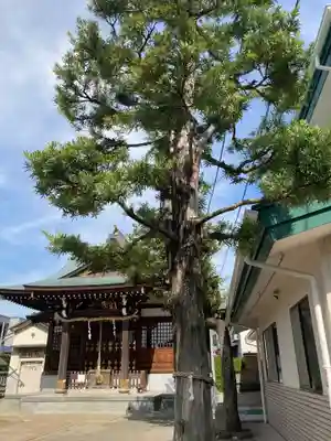 八坂神社(神奈川県)
