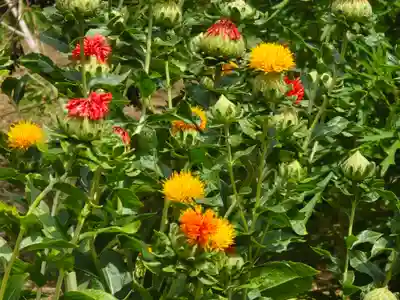 唐招提寺(奈良県)