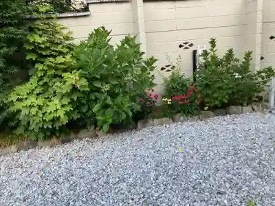 玄静院(東京都)