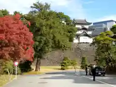 明治神宮(東京都)