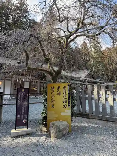 小國神社(静岡県)
