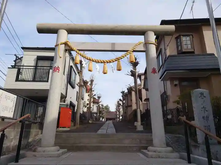 春ノ木神明社の鳥居