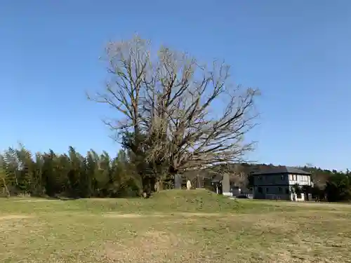 三峯神社の自然