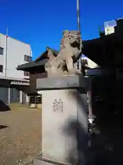 池袋御嶽神社の狛犬