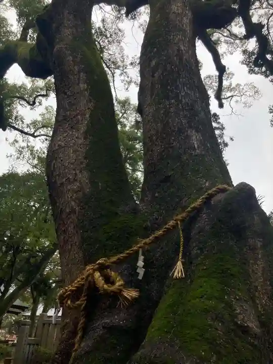 伊弉諾神宮(兵庫県)