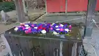 前玉神社の手水舎
